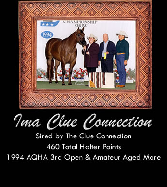 Ima Clue Connection