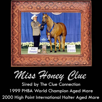 Miss Honey Clue