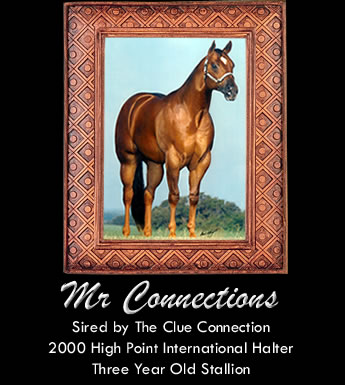 Mr Connections