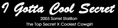 I Gotta Cool Secret